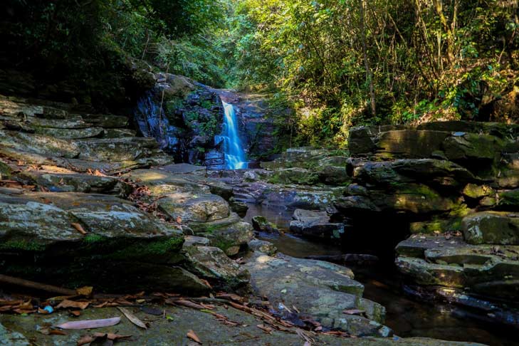 BACH MA NATIONAL PARK TREKING DAY TOUR